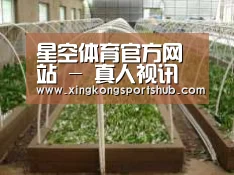 环境展示五