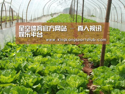 种植基地五