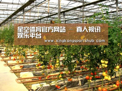 种植基地二