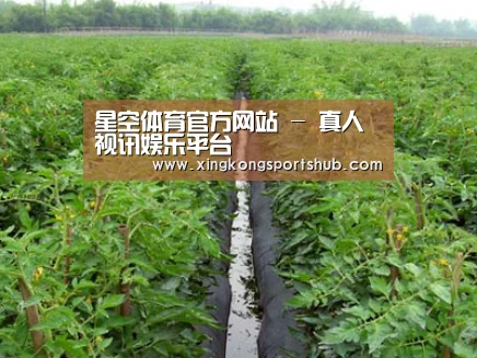 种植基地三