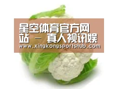 产品名称九