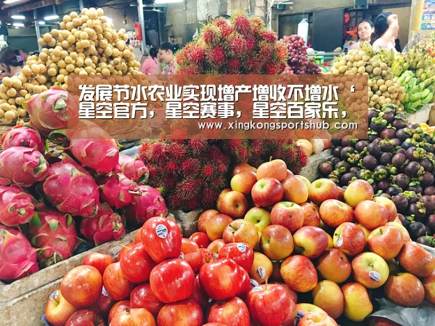 星空官方，星空赛事，星空百家乐，星空平台