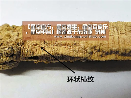 【星空官方,星空赛事,星空百家乐,星空平台】榴莲源于东南亚 泉州人喜爱却无法栽种(图1) 星空官方,星空赛事,星空百家乐,星空平台