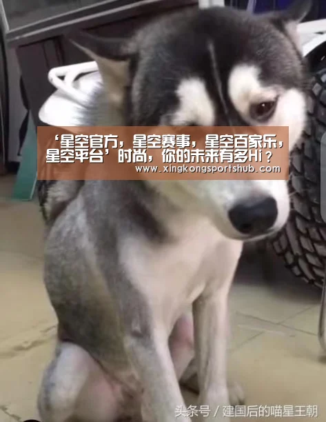 ‘星空官方,星空赛事,星空百家乐,星空平台’时尚,你的未来有多Hi?(图2) 星空官方,星空赛事,星空百家乐,星空平台