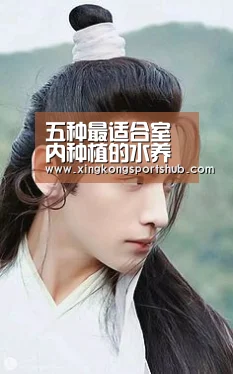 五种最适合室内种植的水养植物‘星空官方,星空赛事,星空百家乐,星空平台’(图4) 星空官方,星空赛事,星空百家乐,星空平台