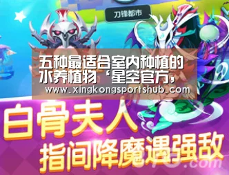 五种最适合室内种植的水养植物‘星空官方,星空赛事,星空百家乐,星空平台’(图2) 星空官方,星空赛事,星空百家乐,星空平台