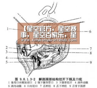 【星空官方,星空赛事,星空百家乐,星空平台】如何部署好一家广告店?这位广告人分享他的秘诀(图1) 星空官方,星空赛事,星空百家乐,星空平台