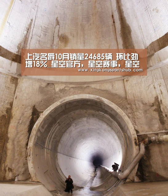 上汽名爵10月销量24685辆 环比劲增18%_星空官方,星空赛事,星空百家乐,星空平台(图2) 星空官方,星空赛事,星空百家乐,星空平台