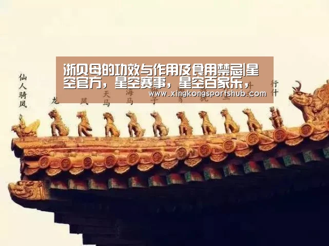 浙贝母的功效与作用及食用禁忌|星空官方,星空赛事,星空百家乐,星空平台(图3) 星空官方,星空赛事,星空百家乐,星空平台