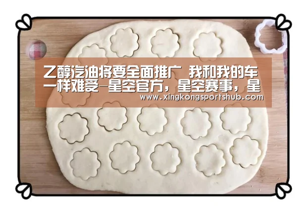乙醇汽油将要全面推广 我和我的车一样难受-星空官方,星空赛事,星空百家乐,星空平台(图1) 星空官方,星空赛事,星空百家乐,星空平台