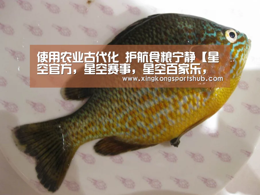 使用农业古代化 护航食粮宁静【星空官方,星空赛事,星空百家乐,星空平台】(图1) 星空官方,星空赛事,星空百家乐,星空平台