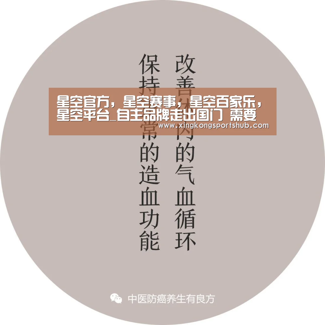 星空官方,星空赛事,星空百家乐,星空平台_自主品牌走出国门 需要靠什么才能赢得海外市场(图2) 星空官方,星空赛事,星空百家乐,星空平台