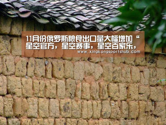 11月份俄罗斯粮食出口量大幅增加“星空官方,星空赛事,星空百家乐,星空平台”(图1) 星空官方,星空赛事,星空百家乐,星空平台