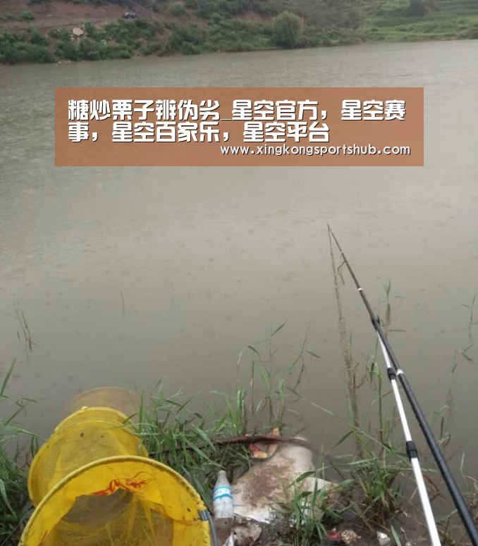 星空官方，星空赛事，星空百家乐，星空平台